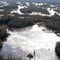 The Uplift: Save the Swamp