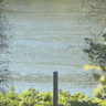 Body of woman pulled from Monongahela River on Saturday afternoon 