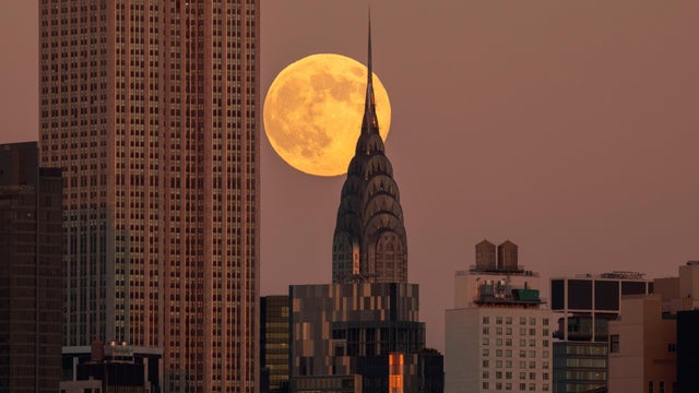 Beaver Supermoon in New York City 