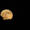 Supermoon will appear tonight. Here's what to know. 