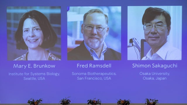 Announcement of Nobel Prize in Physiology or Medicine 2025 