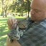 Sacramento man overcharged for kitten adoption says city is giving him the runaround 