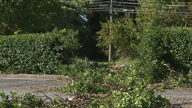 Baltimore County School Bus Crash