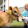 Georgia National Fair celebrates agriculture, family traditions and first-time 4-H competitors 
