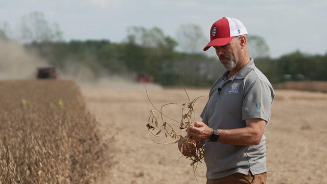 c5-shamlian-eoa-soy-beans-transfer-frame-3755.jpg 