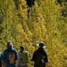 Mountain towns see limited economic boost from fall leaf-peeping tourists 