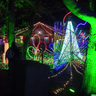 Tickets for Lincoln Park Zoo's ZooLights on sale Tuesday 