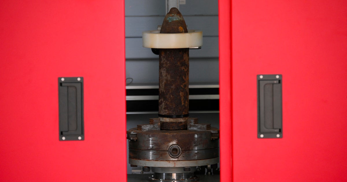 Century-old grenades discovered hidden in French onion supply within the Netherlands