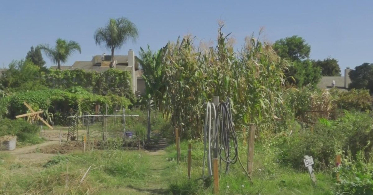 Modesto duo turns open land into family-friendly garden that grows more than just produce