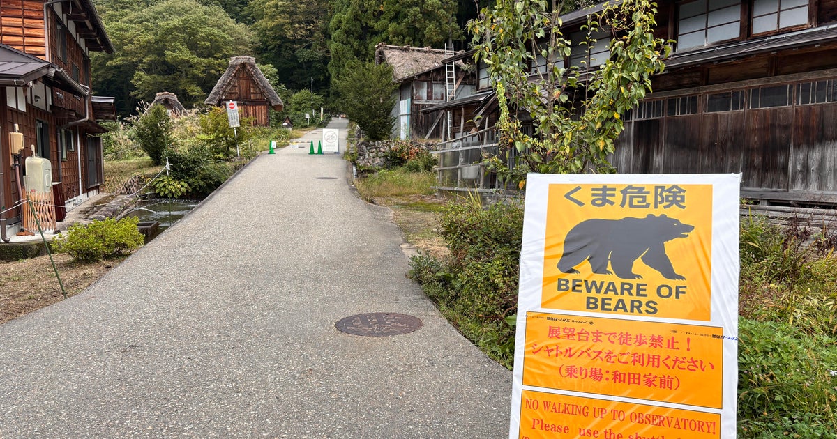 BAGEBED Bear is hurting 2 people at Japanese at Japanese store as a person is killed in a different attack