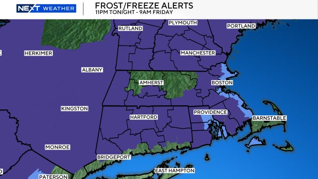 freeze-watch.jpg 