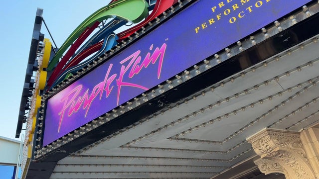 5p-pkg-purple-rain-musical-wcco8xkp.jpg 