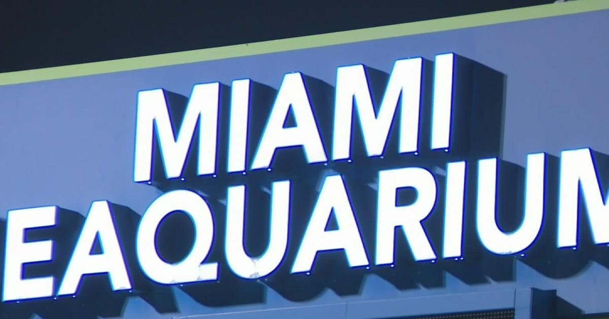 Miami Seaquarium to close after 70 years in business