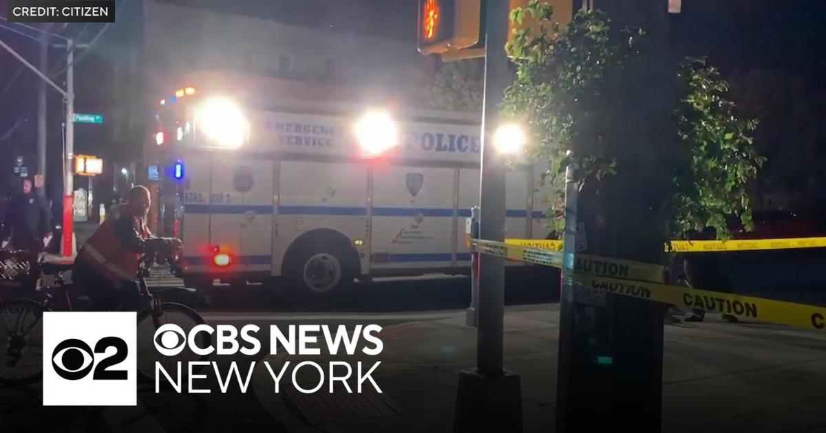 Robbery suspect in the Bronx shot by police - CBS New York