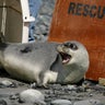 Climate Threatened Species 
