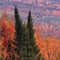 Nature: Fall colors in Maine