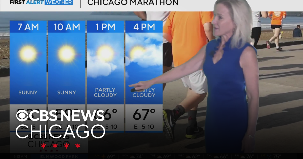 Sunny and pleasant on Sunday in Chicago - CBS Chicago