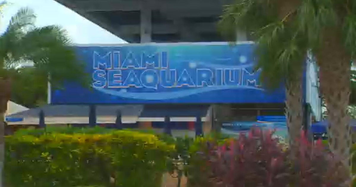 Miami Seaquarium closes after 70 years of being South Florida staple amid controversy over animal welfare