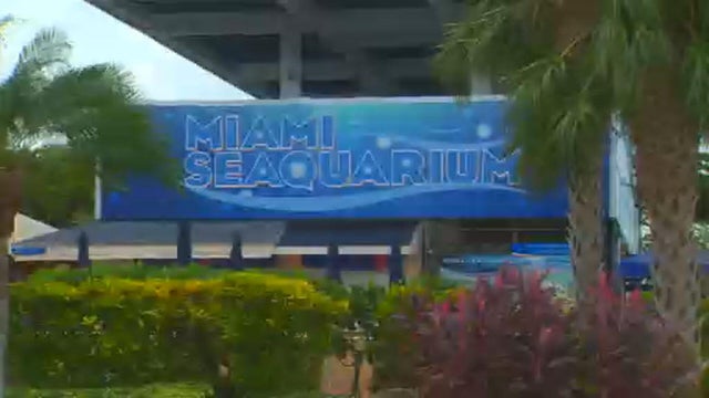 miami-seaquarium-closure-10-12-2025.jpg 