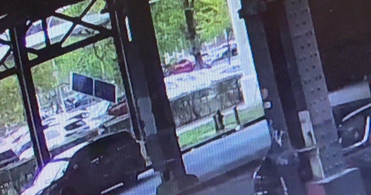 NYC woman killed by flying solar panel during nor'easter