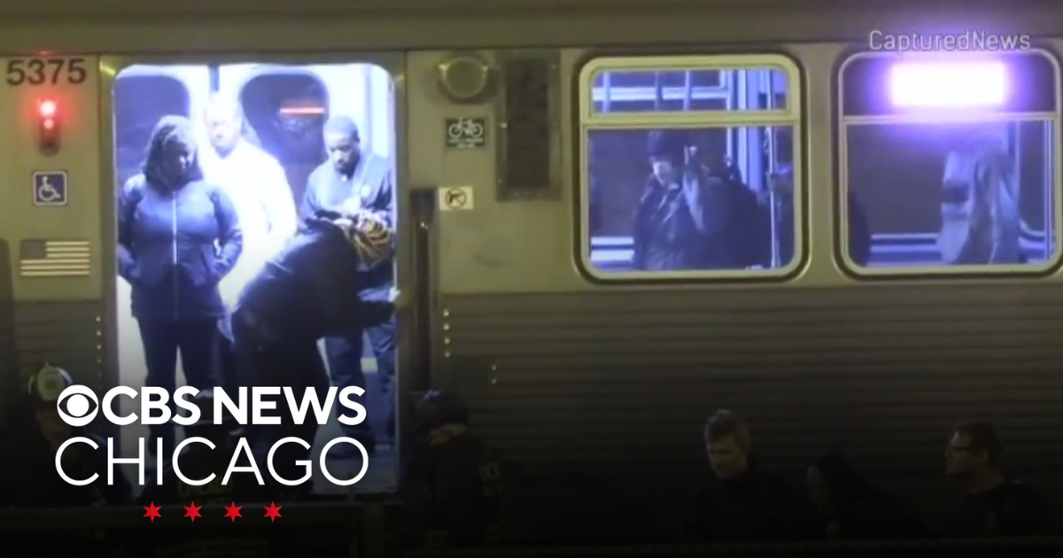 CTA Red Line disrupted after man jumps from moving train - CBS Chicago