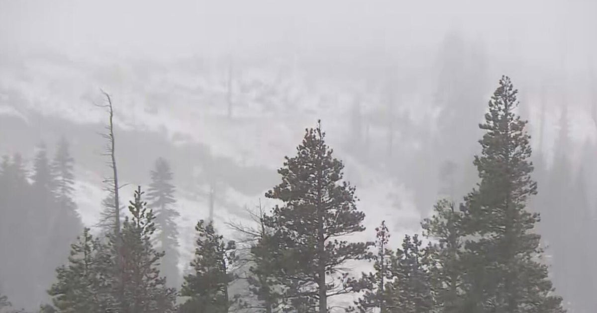 October snowfall hits Californias Northern Sierra at Donner Summit