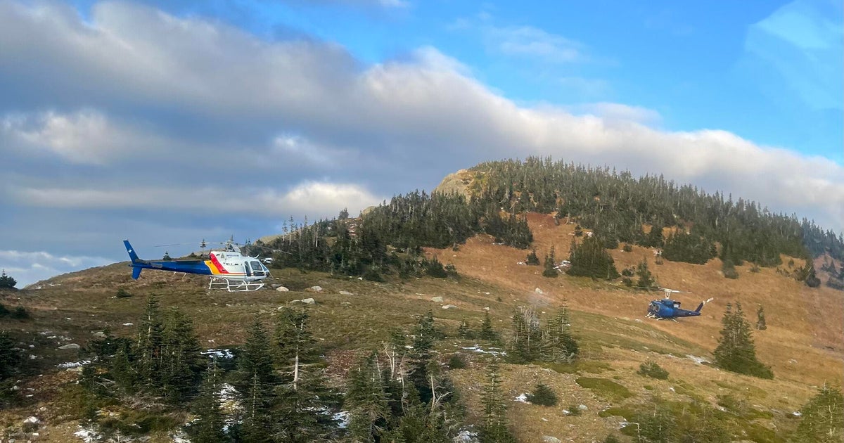 Grizzly bear attack leaves 2 hikers hospitalized in Canada, 1 critical