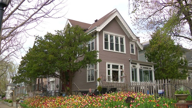 6p-wx-video-tulip-house-wcco3bwe.jpg 
