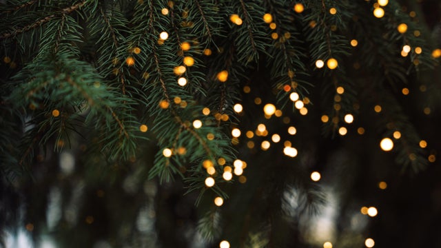 Spruce branches with warm string lights bokeh, Christmas background 