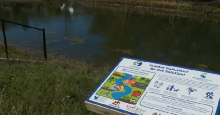 Maryland's Lake Marion reopens as thriving green space after years-long effort