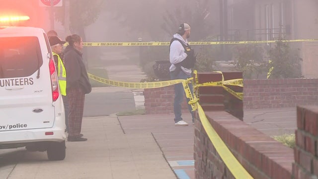 Police lights at a crime scene 