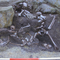 Skeletons in well identified as Roman soldiers killed 1,700 years ago