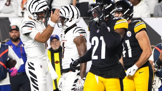 Pittsburgh Steelers v Cincinnati Bengals 