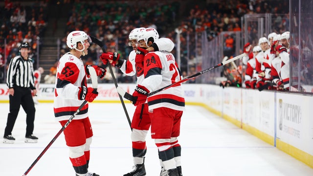 Hurricanes Ducks Hockey 
