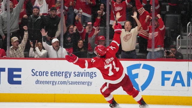 Lightning Red Wings Hockey 
