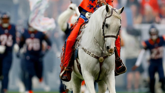 thunder-the-horse-and-owner-sharon-magnus-blake.jpg 