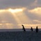 Nature: Penguins in Patagonia