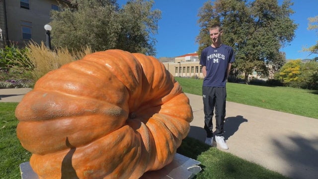 mines-great-pumpkin-63pkg-frame-483.jpg 