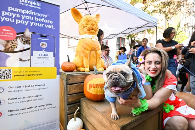 Pumpkin Pet Insurance x Tompkins Square Halloween Dog Parade in NYC