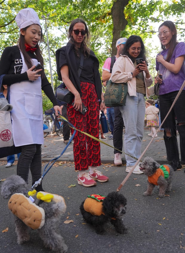 Halloween Dog Parade in NYC
