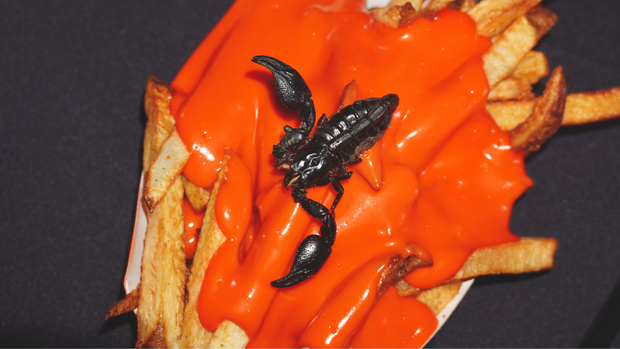 kdka-scorpion-potato-patch-fries.png 