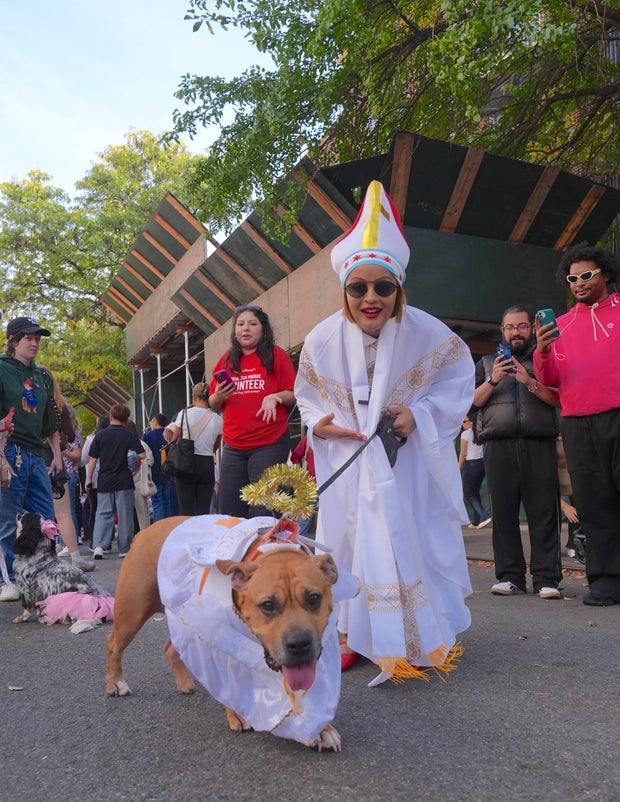 Halloween Dog Parade in NYC