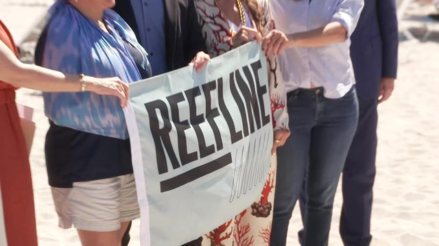 1800-lisa-p-reefline-drop-pkg-10-21-25.jpg 