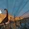 Fossils show dinosaurs thriving in North America before asteroid strike