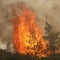 Climate disaster database backed by non-profit after Trump administration shuts it down