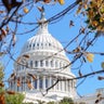 The U.S. Capitol is seen through autumn leaves on Day 23 of the government shutdown in Washington, D.C., on Oct. 23, 2025. 