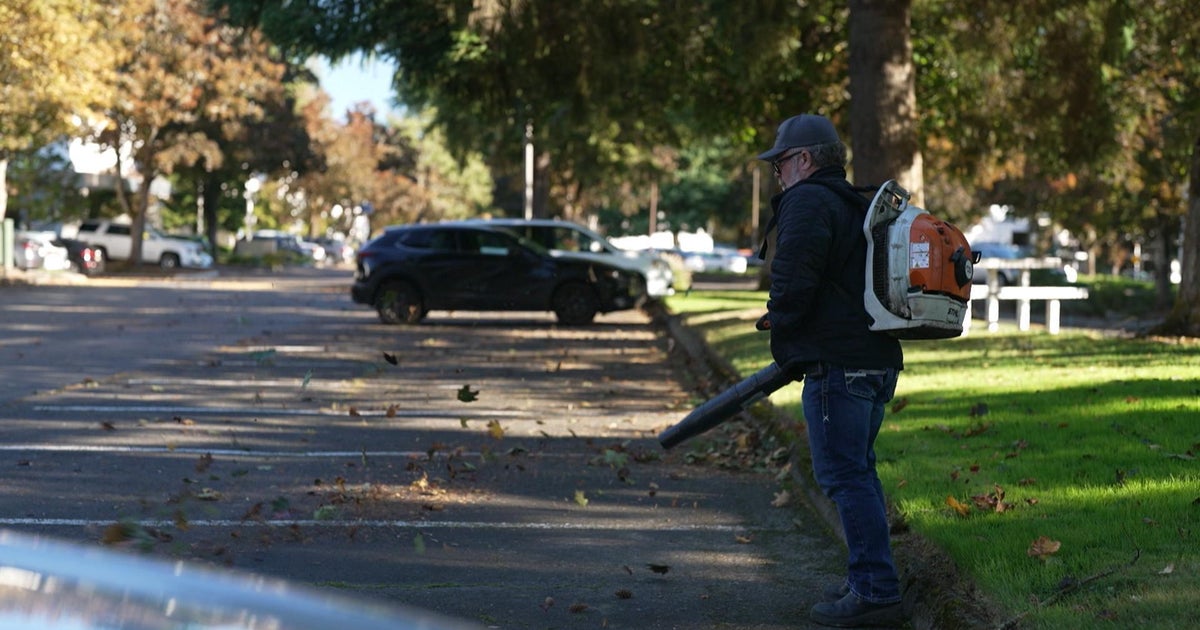 Inside the fight to quiet leaf blowers