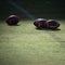 NCAA ordered to pay $18M to former football player in concussion lawsuit
