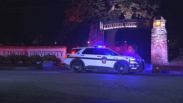 Police lights generic