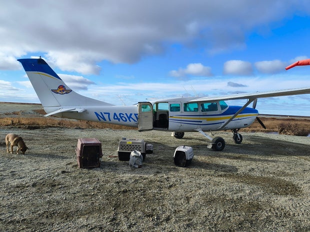bfk9-plane.jpg
